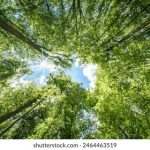 男生叉女生视频 b4h06y6va